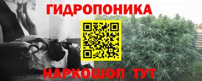 шишки Можайск