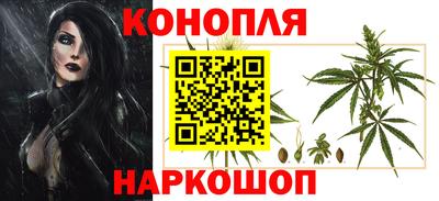 шишки Можайск