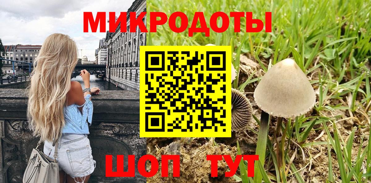 где купить   Галлюциногенные грибы прущие грибы  Псилоцибиновые грибы Psilocybine cubensis  Вход с VPN  Боровичи 