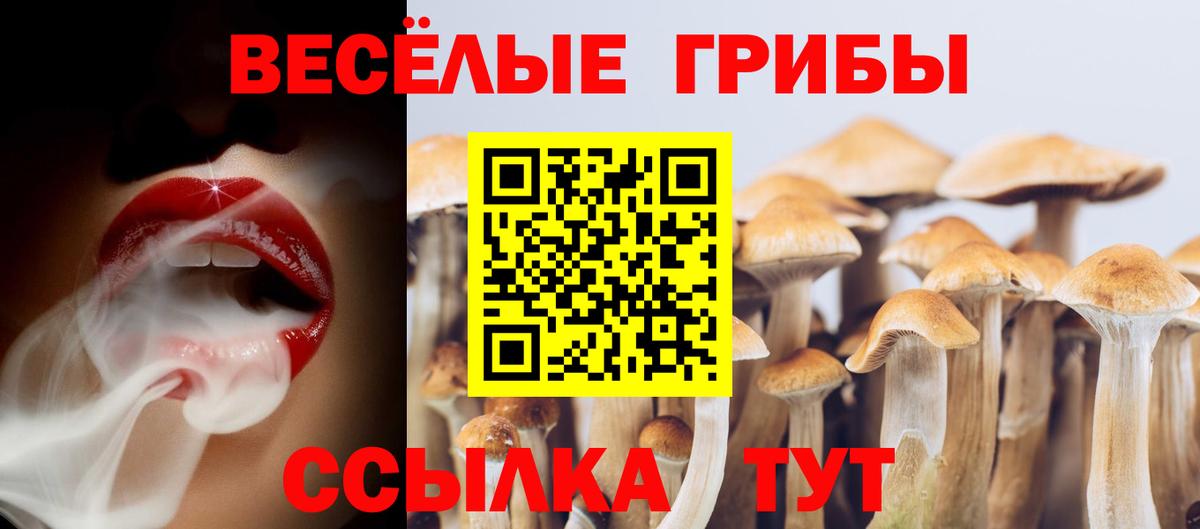 Галлюциногенные грибы прущие грибы Боровичи