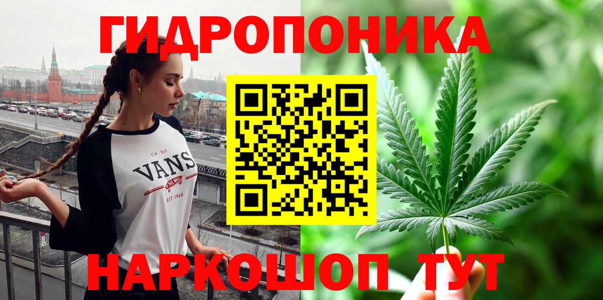 Шишки марихуана гибрид Боровичи